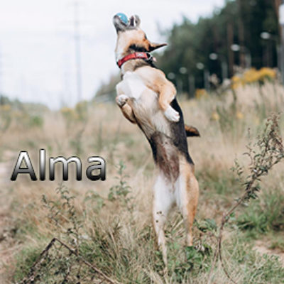 Alma2-(5)web