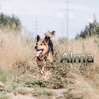 Alma2-(7)web