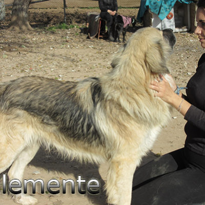 Clemente_Update_14012020-(6)web