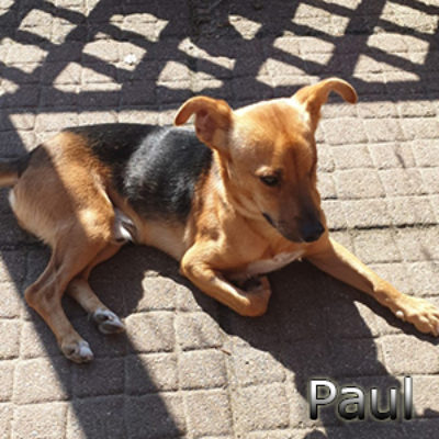 Paul_Once-(16)web