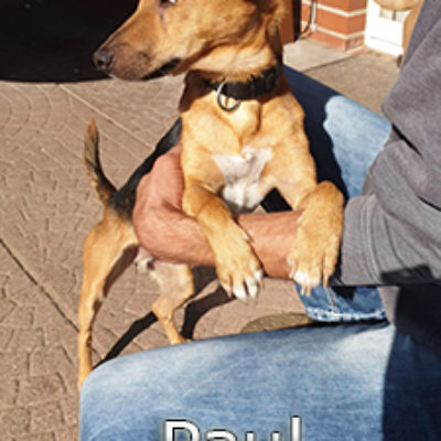 Paul_Once-(9)web