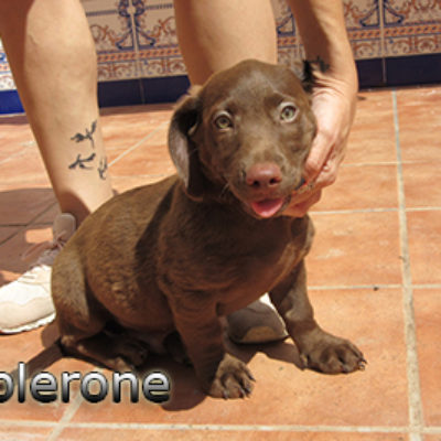 Toblerone-(5)web
