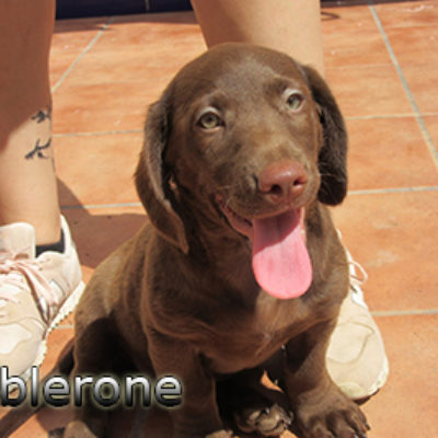 Toblerone-(8)web