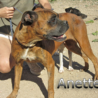 Anette-(10)web