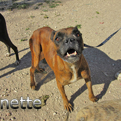Anette-(2)web