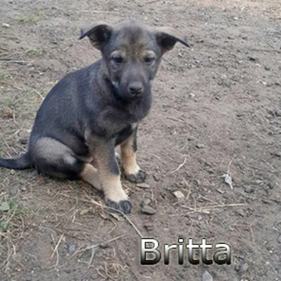 Britta(Ziemer)-(7)web