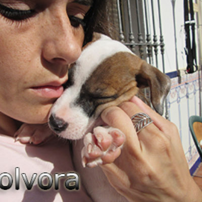 Polvora-(8)web