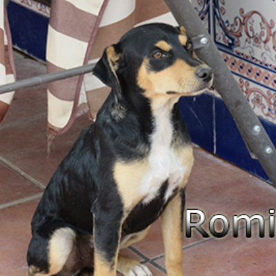 Romina-(10)web