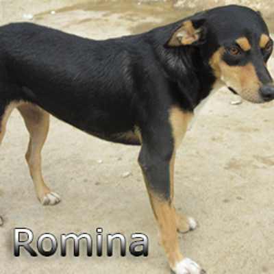 Romina-(7)web