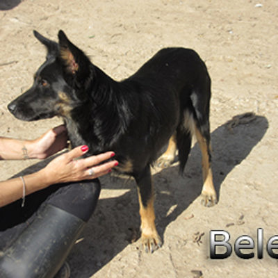 Belem-(5)web