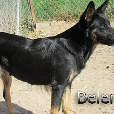 Belem-(8)web