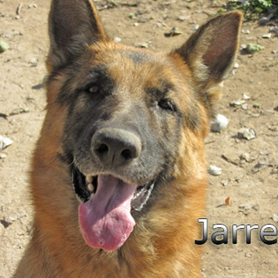 Jarrete_Update_14012020-(1)web