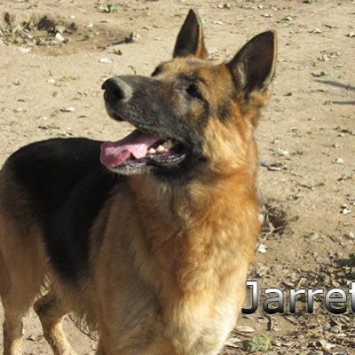 Jarrete_Update_14012020-(3)web