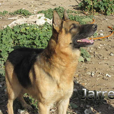 Jarrete_Update_14012020-(5)web
