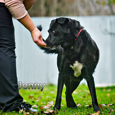 Jenny3_Russ-(13)web
