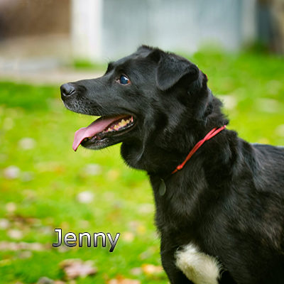 Jenny3_Russ-(15)web