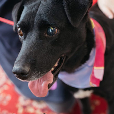 Jenny3_Update_07122019-(10)web