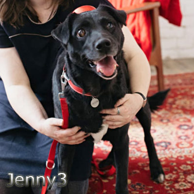 Jenny3_Update_07122019-(11)web