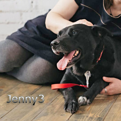 Jenny3_Update_07122019-(13)web