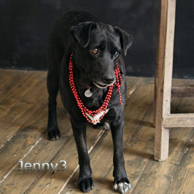 Jenny3_Update_07122019-(15)web