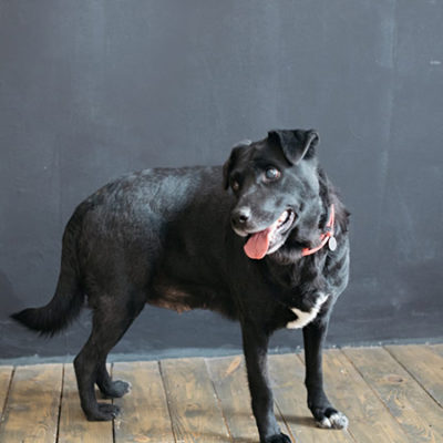 Jenny3_Update_07122019-(4)web