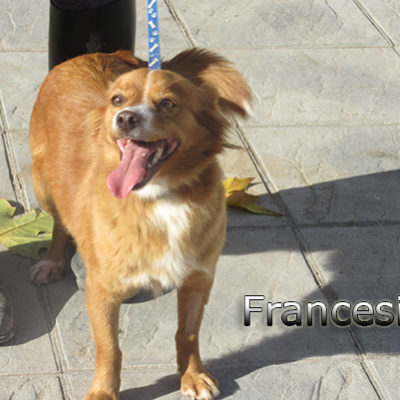 Francesita-(8)web