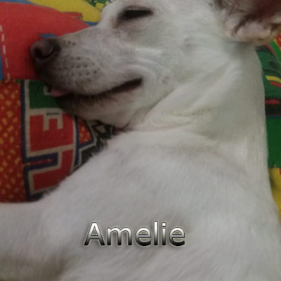Amelie-(1)web