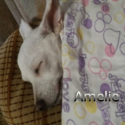 Amelie-(2)web