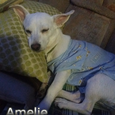 Amelie-(3)web