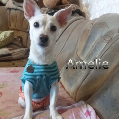 Amelie-(7)web
