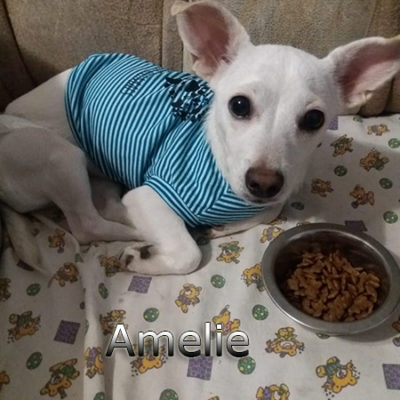 Amelie-(8)web