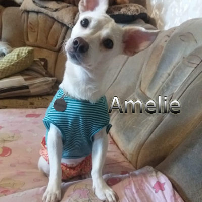 Amelie-(9)web