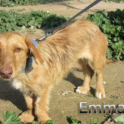 Emma-(3)web