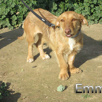 Emma-(4)web