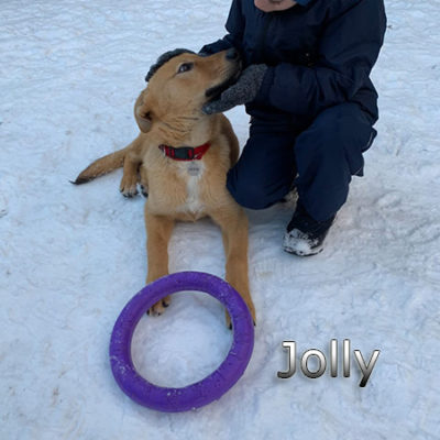 Jolly-(1)web