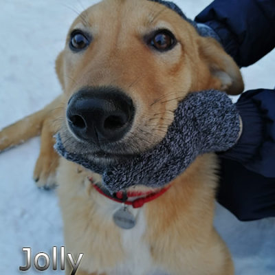 Jolly-(4)web