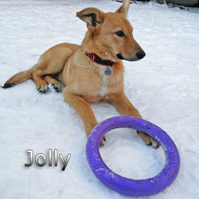 Jolly-(5)web