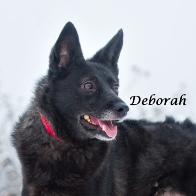 Deborah IMG-20200206-WA0058