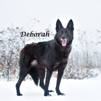 Deborah IMG-20200206-WA0059