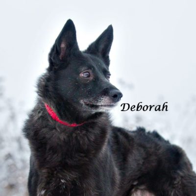Deborah IMG-20200206-WA0061
