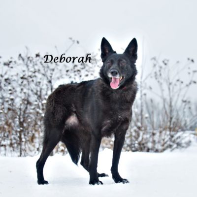 Deborah IMG-20200206-WA0062
