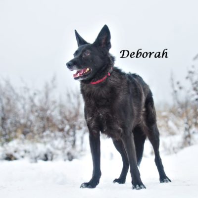 Deborah IMG-20200206-WA0067