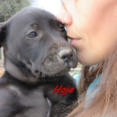 Hoja IMG_5108