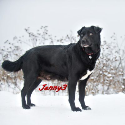 Jenny3 IMG-20200206-WA0088