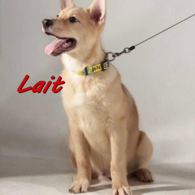 Lait IMG-20200130-WA0029