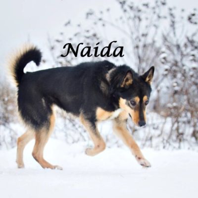 Naida IMG-20200215-WA0006