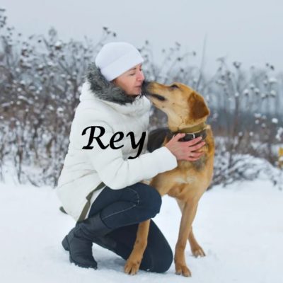 Rey IMG-20200217-WA0050
