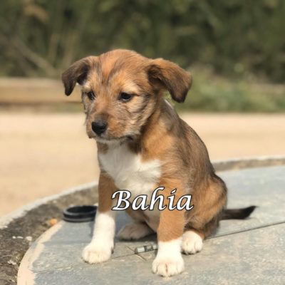 Bahia IMG-20200301-WA0070