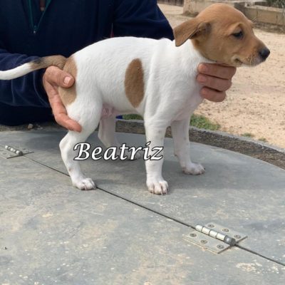 Beatriz IMG-20200301-WA0121