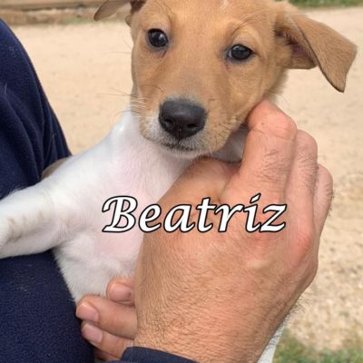 Beatriz IMG-20200301-WA0124